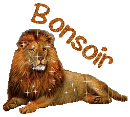 Gif animé bonsoir lion